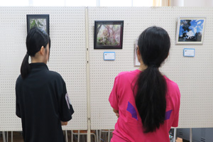 英明祭