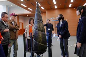 作品を言葉で説明しています