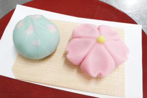 春らしいパステルカラーの可愛い練り切りが完成しました